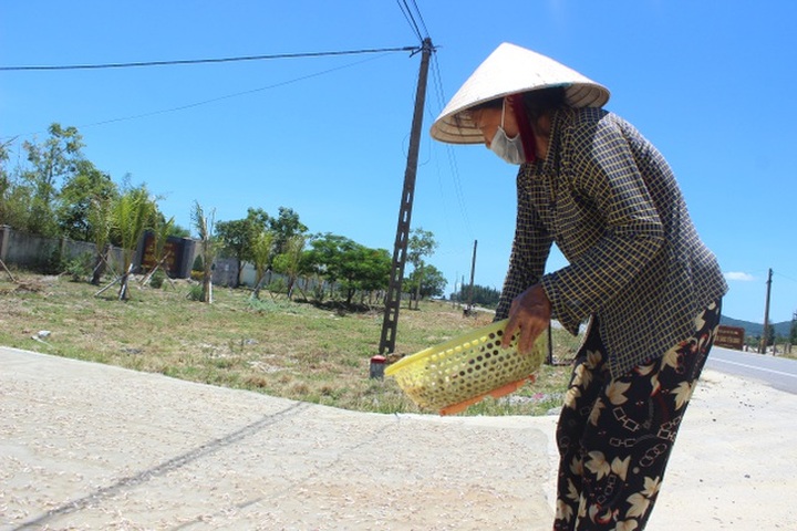 Lộc biển bất ngờ, ngư dân hối hả “cướp nắng” kiếm tiền triệu - 5