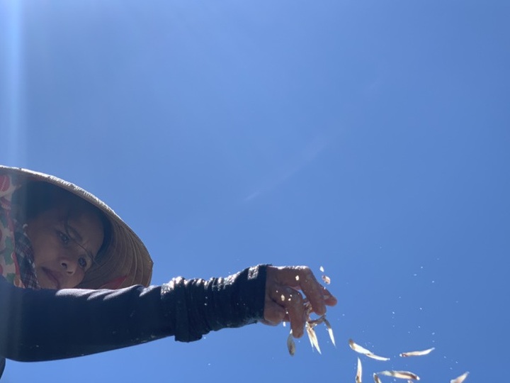 Lộc biển bất ngờ, ngư dân hối hả “cướp nắng” kiếm tiền triệu - 6