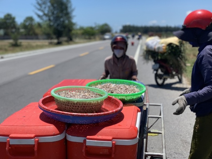 Lộc biển bất ngờ, ngư dân hối hả “cướp nắng” kiếm tiền triệu - 8