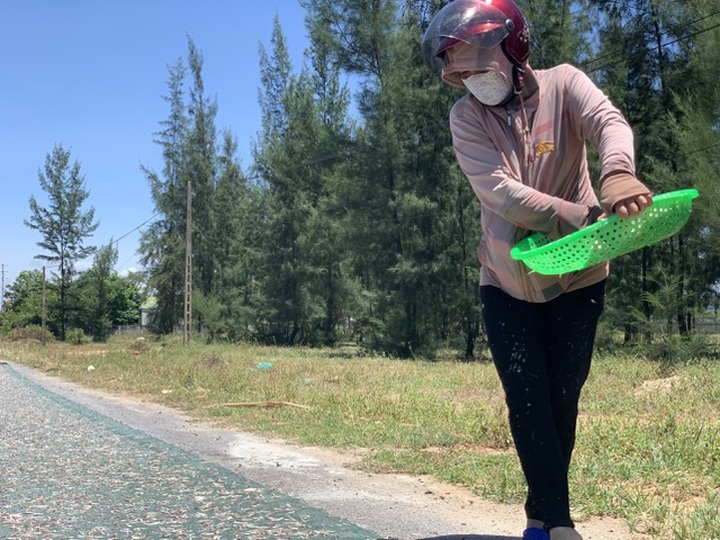 Lộc biển bất ngờ, ngư dân hối hả “cướp nắng” kiếm tiền triệu - 10