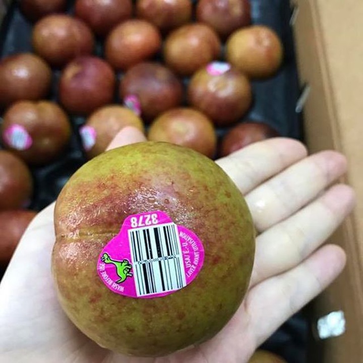 Mận “khủng long” nhập khẩu Úc to như quả đấm, chị em tranh nhau mua ăn để giảm cân - 1