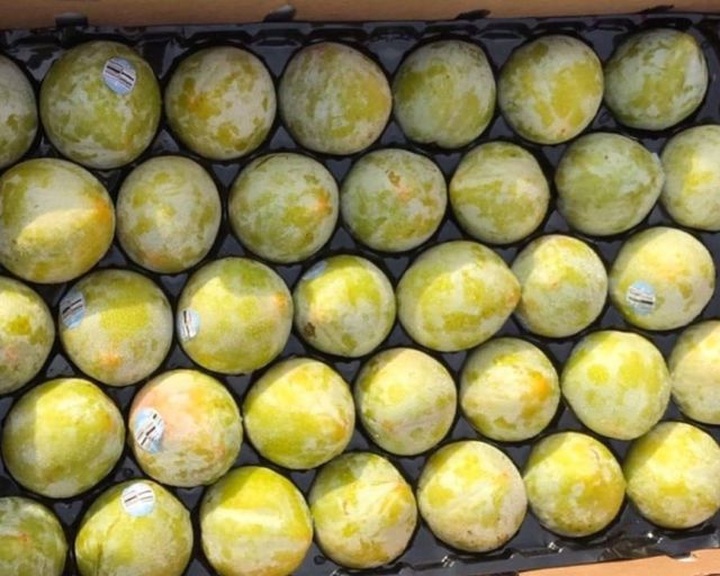 Mận “khủng long” nhập khẩu Úc to như quả đấm, chị em tranh nhau mua ăn để giảm cân - 4