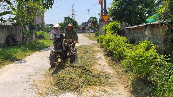 Máy gặt không dám đến ruộng, nông dân ngồi trên đống lửa - 2