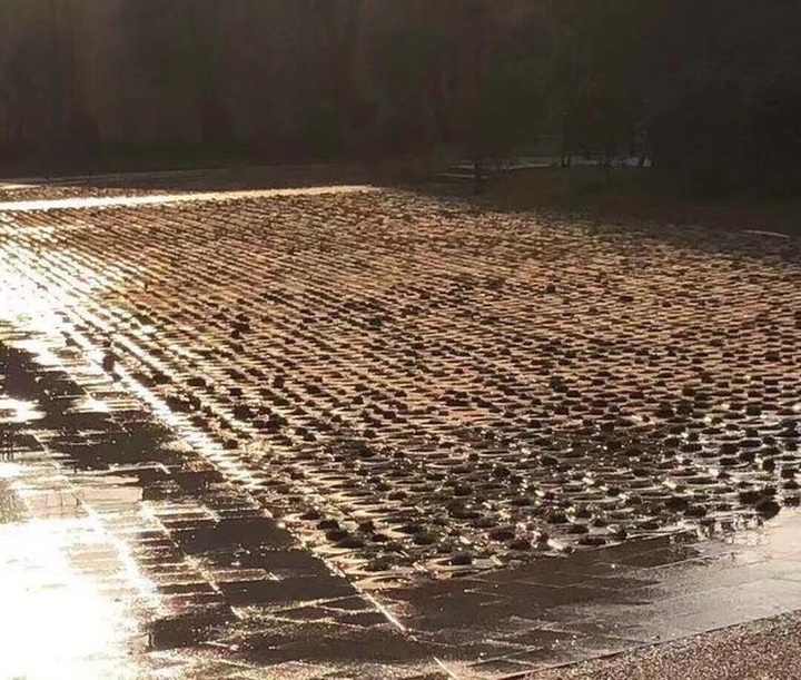 Mua chung cư ăn cú lừa chết điếng, quảng cáo thăng hoa nhận nhà ngã ngửa (!?) - 5