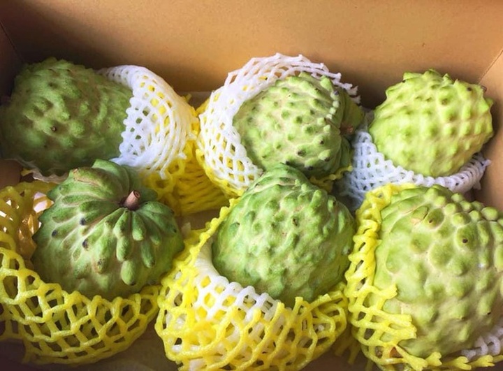 Na nhà giàu đi máy bay về Việt Nam, nửa triệu đồng/kg vẫn cháy hàng - 1