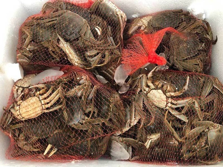 Năm chỉ có một lần, dân giàu đổ về sông Cầu săn đặc sản trời cho - 4