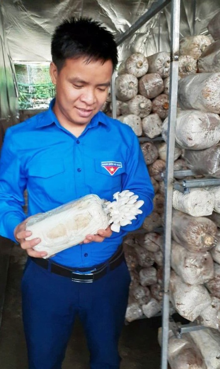 Nghệ An: Mô hình trồng nấm mang lại hiệu quả kinh tế của chàng kỹ sư trẻ - 5