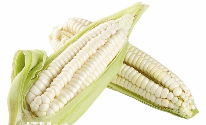 Ngô nếp Nhật ăn sáng: Đắt gấp 30 lần, mỗi người chỉ được 1 bắp