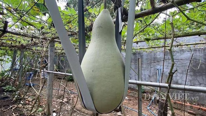 Ngôi nhà ẩn chứa 100 báu vật hiếm có khó tìm ở Việt Nam - 1