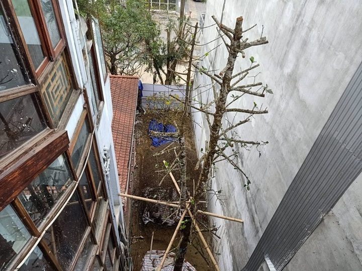 Ngôi nhà ẩn chứa 100 báu vật hiếm có khó tìm ở Việt Nam - 4