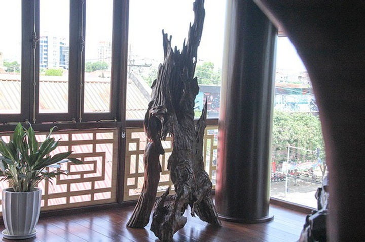 
Gỗ lũa sau khi được chế tác được bài trí trong nhà.
