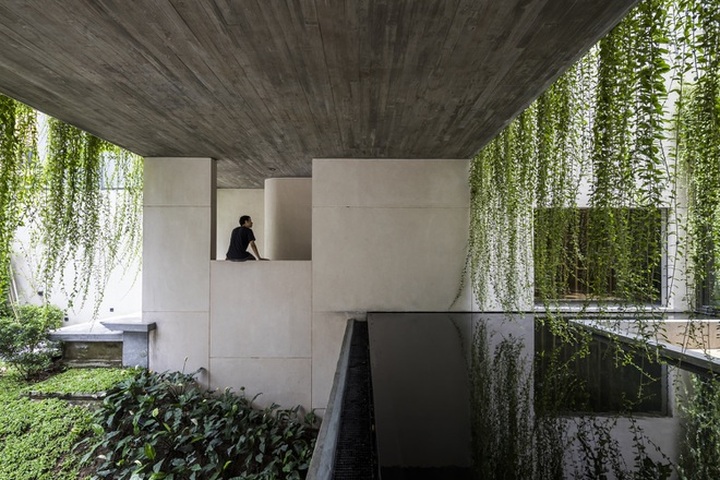 Ngôi nhà trong hẻm nhỏ Sài Gòn gây ấn tượng như một khu vườn khổng lồ - 2