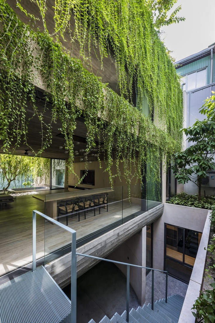 Ngôi nhà trong hẻm nhỏ Sài Gòn gây ấn tượng như một khu vườn khổng lồ - 3