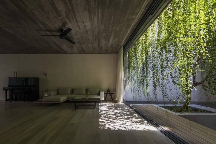 Ngôi nhà trong hẻm nhỏ Sài Gòn gây ấn tượng như một khu vườn khổng lồ - 6