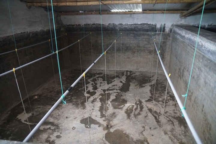 Người nuôi trồng thủy sản gặp khó vì dịch Covid-19 - 4