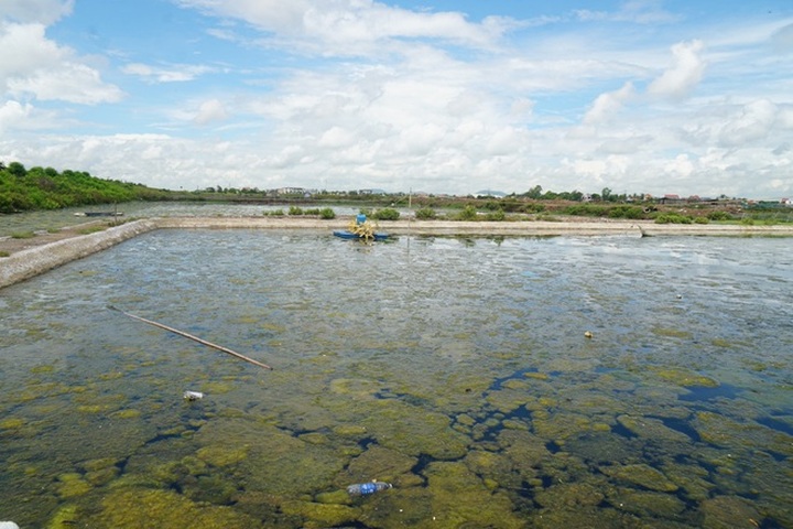 Người nuôi trồng thủy sản gặp khó vì dịch Covid-19 - 6