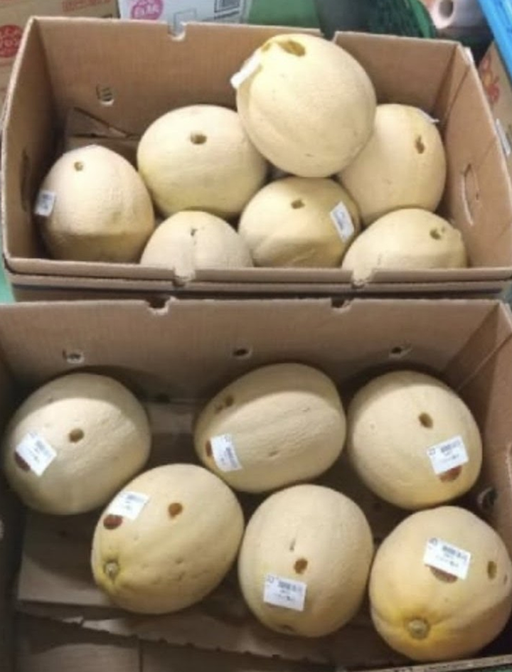 Người phụ nữ bị bắt giữ vì chọc thủng 13 quả dưa trong siêu thị - 1