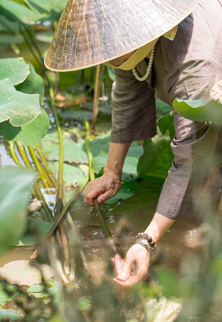 Người phụ nữ khiến sen nhả ra ngọc dệt thành khăn giá 10 triệu đồng/chiếc - 3