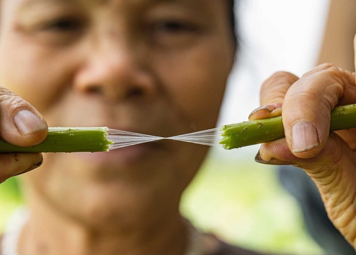 Người phụ nữ khiến sen nhả ra ngọc dệt thành khăn giá 10 triệu đồng/chiếc - 4