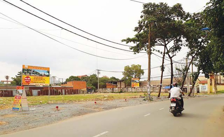 Nhà đầu tư “chùn tay” với đất nền giá rẻ - 1