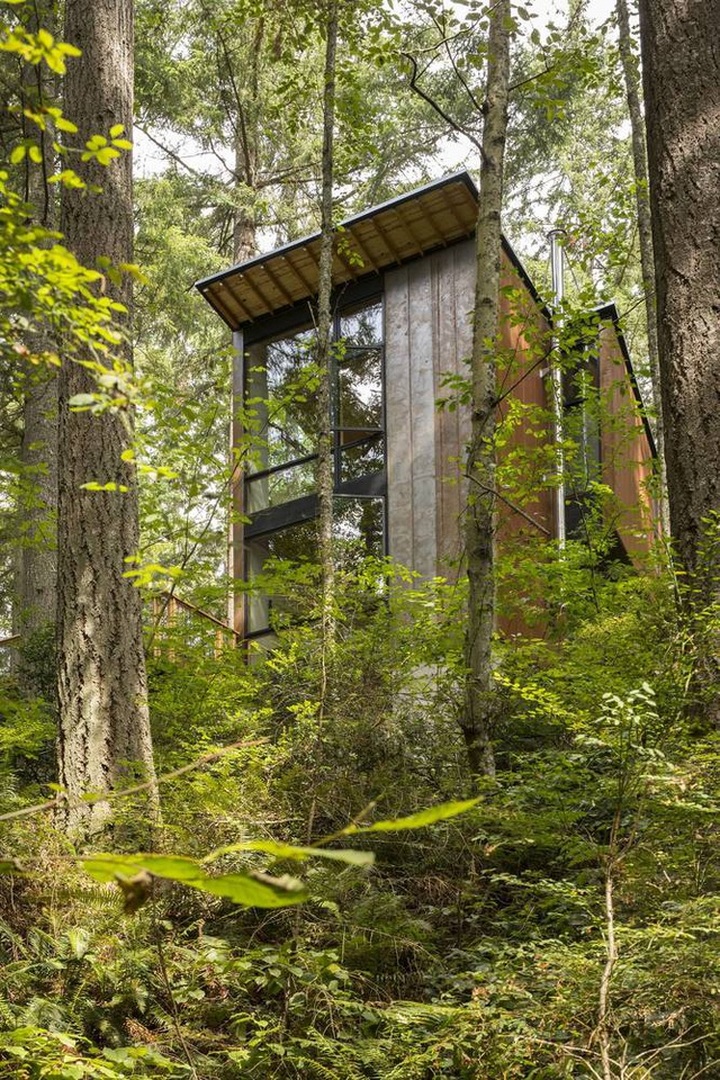 Nhà đối xứng năng lượng mặt trời ẩn mình giữa rừng linh sam - 4