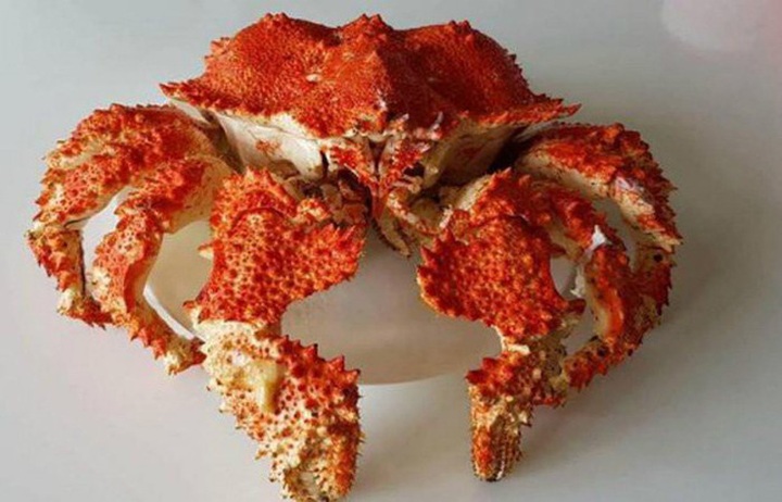 Cua ruby mới xuất hiện trên thị trường thời gian gần đây