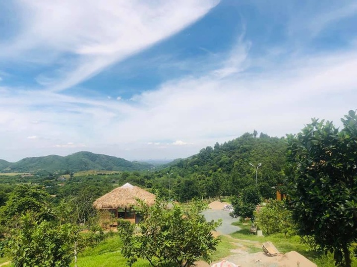 NSƯT Việt Hoàn tậu 10.000m2 đất làm nông trại, làm của hồi môn cho con gái - 2