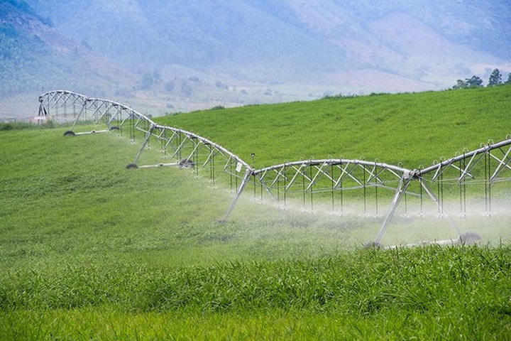 Nữ doanh nhân Thái Hương: 3 lần liên tiếp lọt vào danh sách những phụ nữ có ảnh hưởng nhất Việt Nam - 3