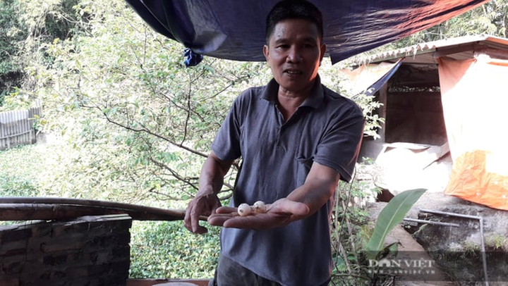 Nuôi con ăn hè, ngủ đông, ông nông dân sắm xe hơi, xây nhà lầu - 1