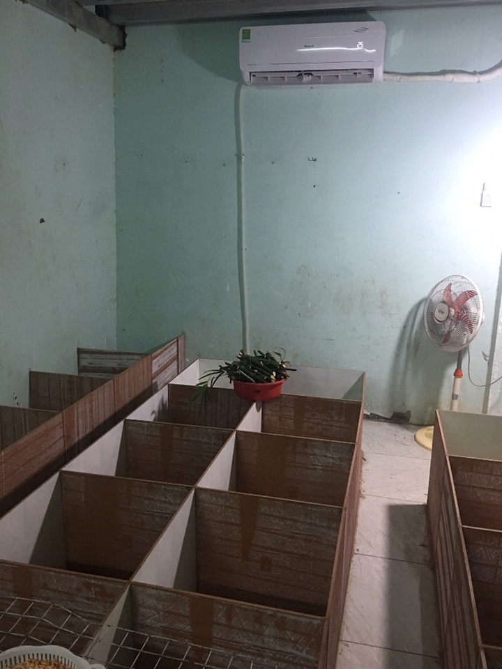 Nuôi dúi bằng máy lạnh, nam sinh viên “bỏ túi” 40 triệu đồng/tháng - 3