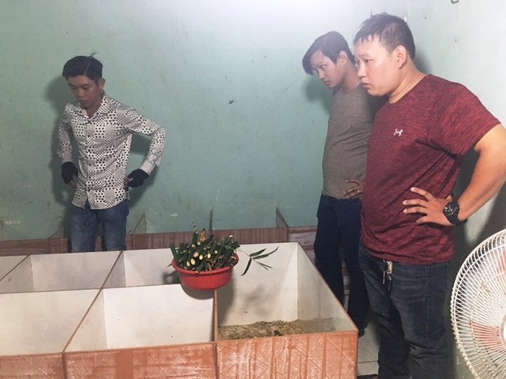 Nuôi dúi bằng máy lạnh, nam sinh viên “bỏ túi” 40 triệu đồng/tháng - 5