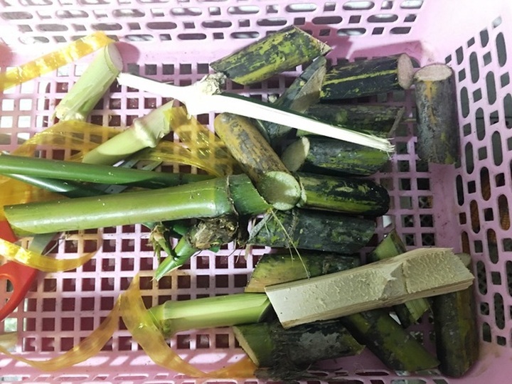 Nuôi dúi bằng máy lạnh, nam sinh viên “bỏ túi” 40 triệu đồng/tháng - 7