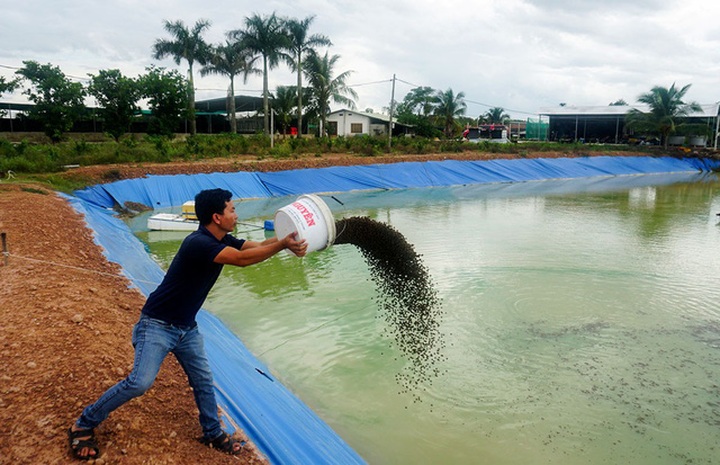 Trang trại rộng hơn 3,2ha được anh gây dựng hơn 10 năm để đạt được thành công.