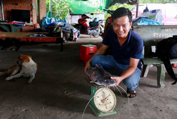 Mỗi năm, anh Hiếu thu nhập hơn 1 tỷ đồng từ tiền bán cá lăng giống.