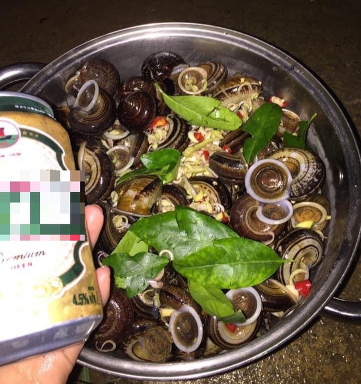 Ốc thuốc rừng sâu, nhà giàu ăn sang cũng chẳng biết tới - 4