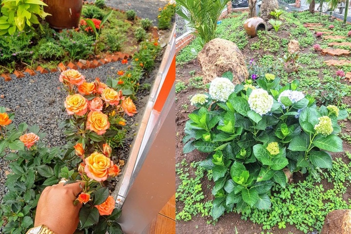 Ông bố trẻ ở Đắk Lắk làm nhà vườn đổi gió đẹp mê chỉ 160 triệu đồng - 12