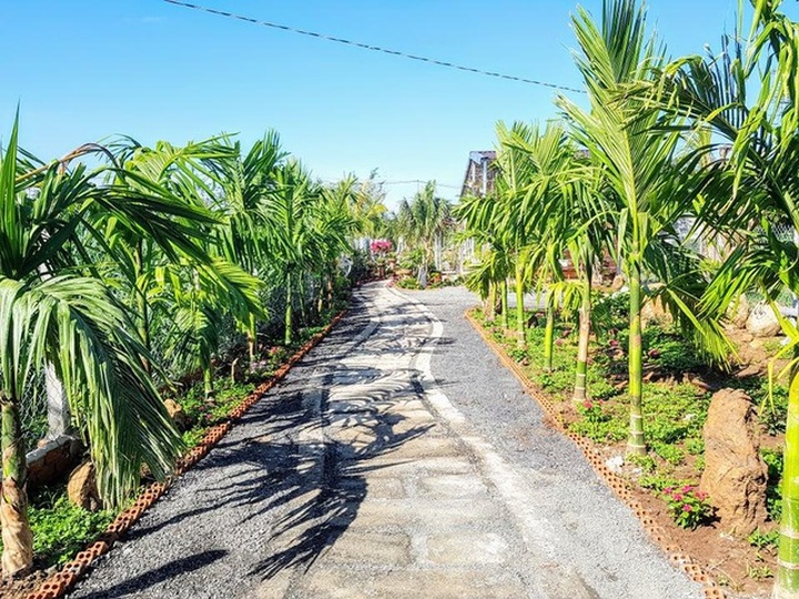 Ông bố trẻ ở Đắk Lắk làm nhà vườn đổi gió đẹp mê chỉ 160 triệu đồng - 3