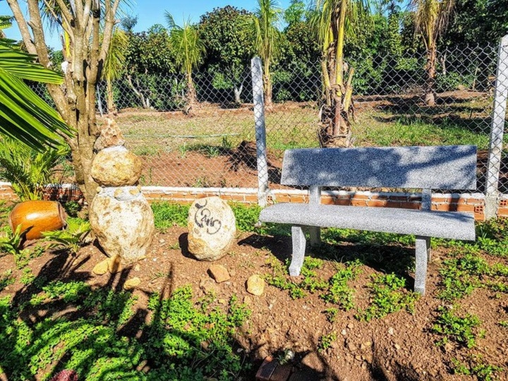 Ông bố trẻ ở Đắk Lắk làm nhà vườn đổi gió đẹp mê chỉ 160 triệu đồng - 6