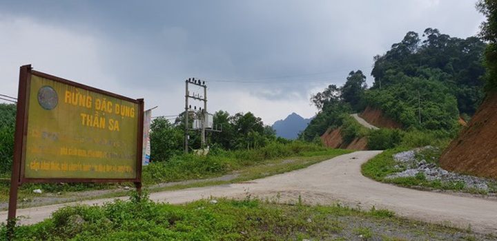 Rừng đặc dụng Thần Sa đang bị xâm hại bởi hoạt động khai thác vàng (Ảnh: V.H).