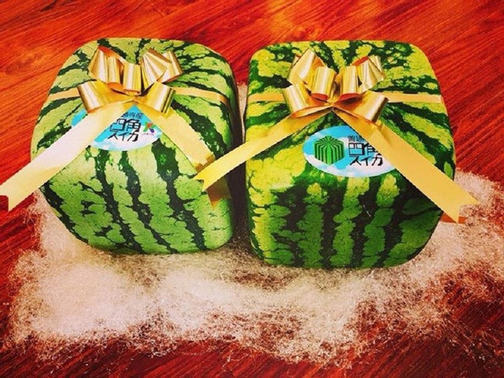 Dưa hấu vuông Nhật Bản có giá 4,5 triệu đồng/quả. Ảnh: Khúc Ngọc Anh