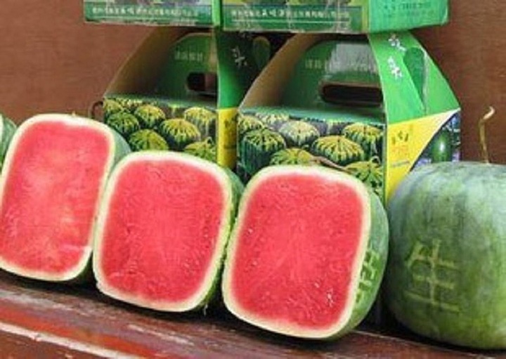Bên trong quả dưa hấu vuông Nhật Bản có giá 4,5 triệu đồng/quả