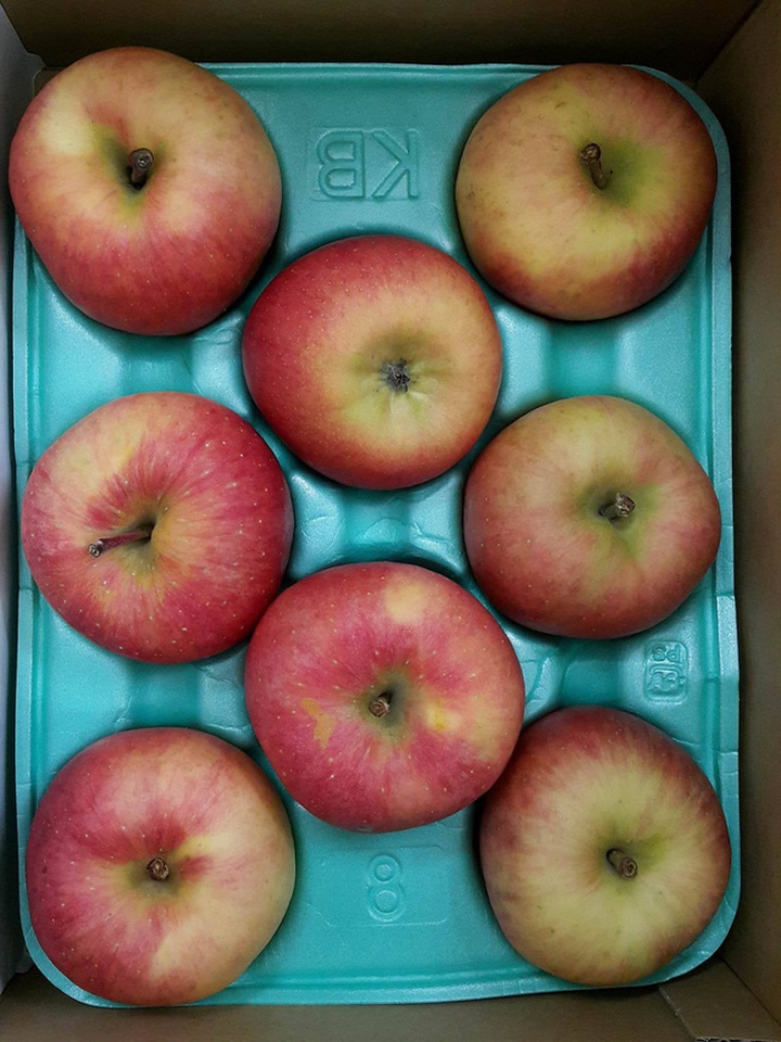 Một thùng táo mật nhỏ vừa được chủ cửa hàng hoa quả nhập ngoại khui hàng cho khách xem.