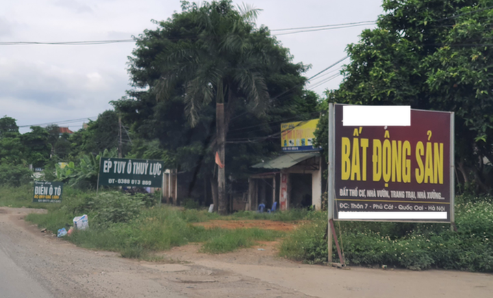 Quả đắng đầu tư đất nền: Mua hớ cao gấp 3, rao bán 2 năm không ai mua - 2