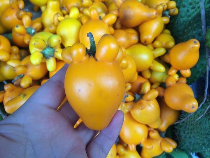 Quả độc chết người cúng ông bà ngày Tết: Liều mạng cầu giàu sang - 2