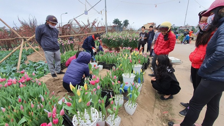 Quan niệm năm kép tài lộc nhân đôi, dân Hà Nội săn lùng hoa Tuy Líp nhiều cánh - 2