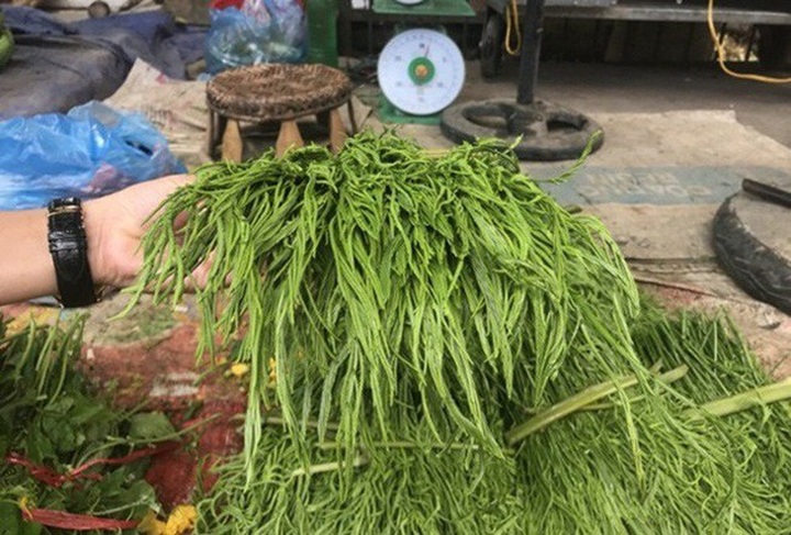 Rau thối nồng nặc, bắp cải lạ Trung Quốc bất ngờ đắt hàng - 1