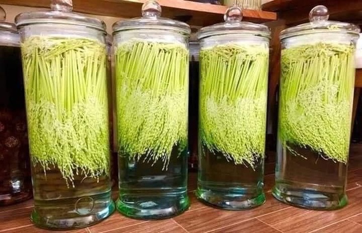 Rộ mốt săn lùng đòng đòng tươi, dân buôn bán mỗi ngày cả tạ - 3