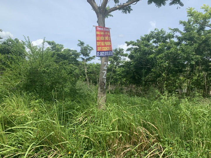 Sau khi cơn sốt đất nền bay biến, thị trường bất động sản đang ra sao? - 1