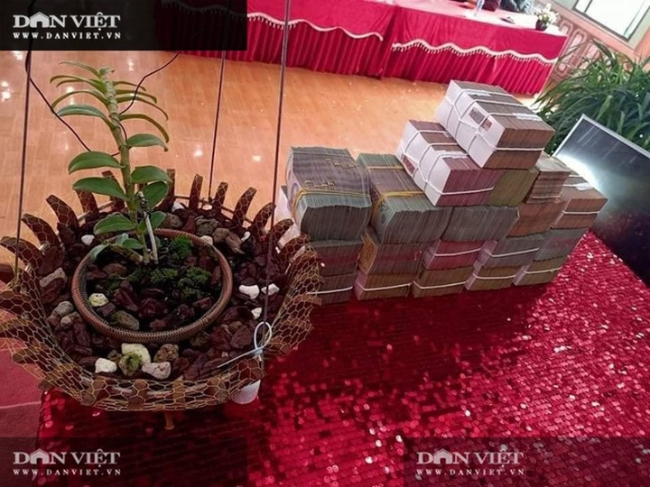 Sơn La: Xôn xao vụ chuyển nhượng lan đột biến Phi điệp Hồng Hạ Vân trị giá 5,5 tỷ đồng - 1