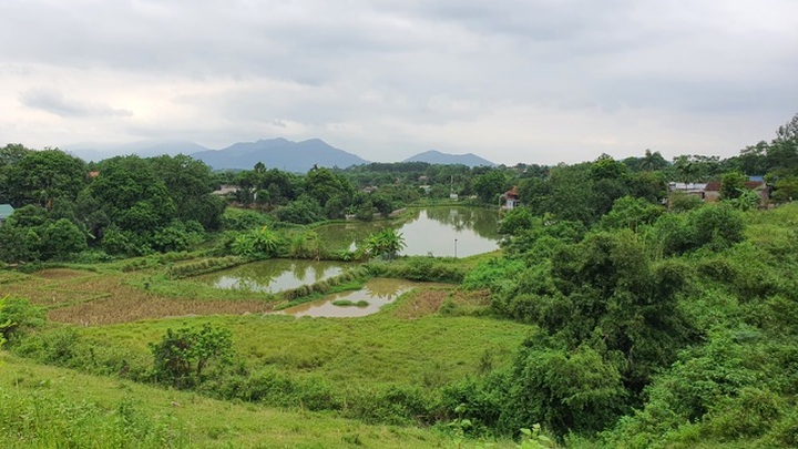 Sốt đất Đồng Chanh: Dân Hà Nội xếp hàng chờ chủ đất... bỏ vợ, bán nhà! - 8